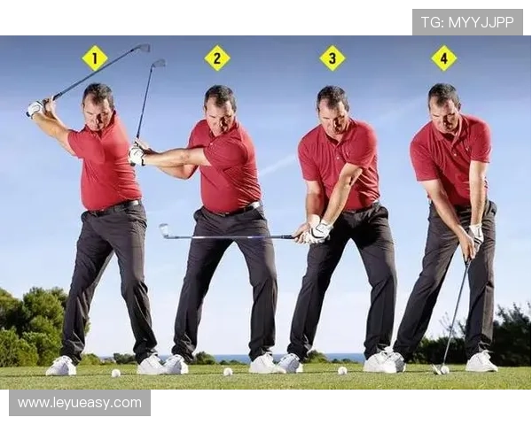 裁判手势与判罚信号：关键动作与裁定标准