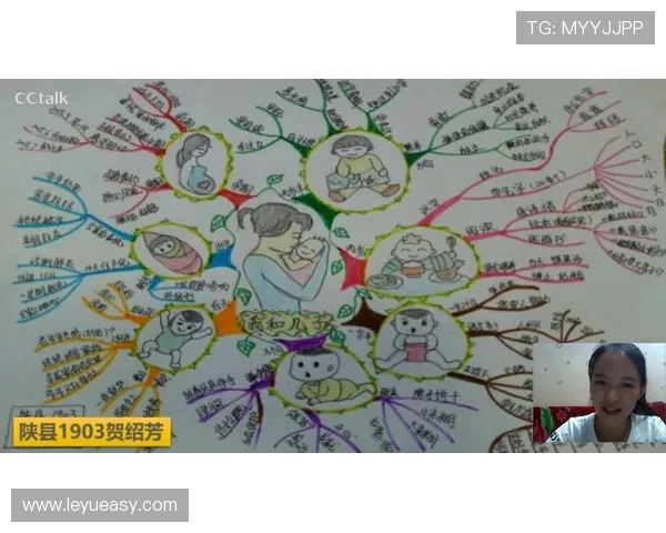 萨卡高开低走？成长轨迹与持续性分析